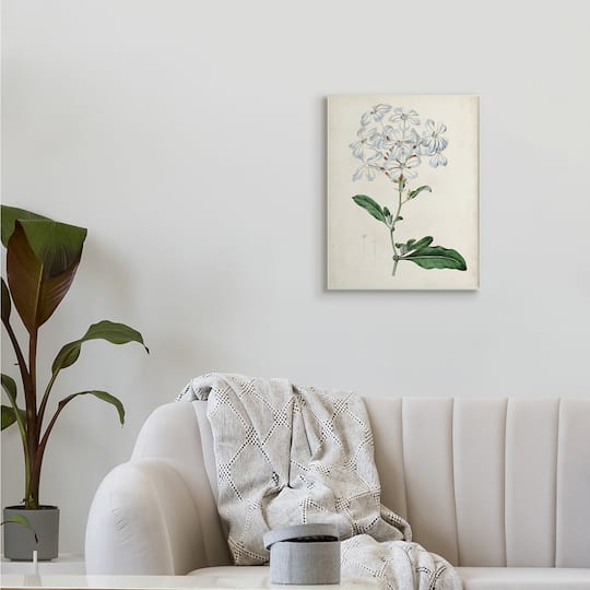 Stupell Industries Rustic Garden Floral Study Charming White Blossoms Wall Plaque